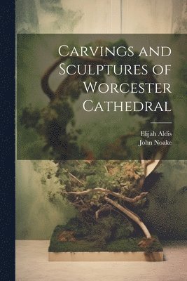 bokomslag Carvings and Sculptures of Worcester Cathedral