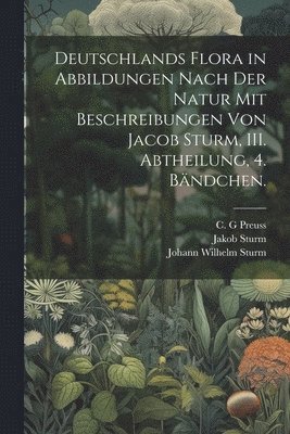 Deutschlands Flora in Abbildungen nach der Natur mit Beschreibungen von Jacob Sturm, III. Abtheilung, 4. Bndchen. 1