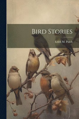 bokomslag Bird Stories