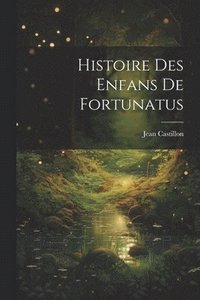 bokomslag Histoire des enfans de Fortunatus