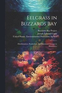 bokomslag Eelgrass in Buzzards Bay