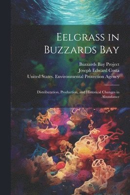 Eelgrass in Buzzards Bay 1