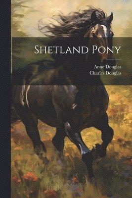 bokomslag Shetland Pony