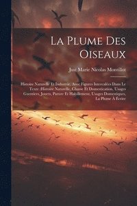 bokomslag La plume des oiseaux
