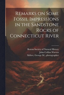 bokomslag Remarks on Some Fossil Impressions in the Sandstone Rocks of Connecticut River