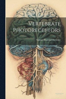 Vertebrate Photoreceptors 1