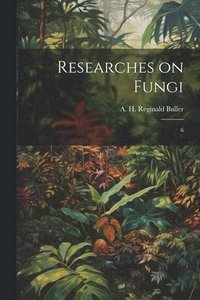 bokomslag Researches on Fungi