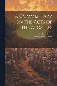 bokomslag A Commentary on the Acts of the Apostles