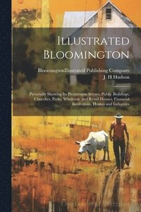 bokomslag Illustrated Bloomington; Pictorially Showing its Picturesque Scenes, Public Buildings, Churches, Parks, Wholesale and Retail Houses, Financial Institutions, Homes and Industries