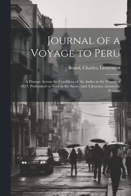 bokomslag Journal of a Voyage to Peru