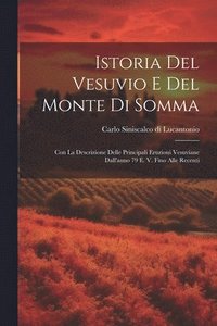 bokomslag Istoria del Vesuvio e del monte di Somma