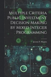 bokomslag Multiple Criteria Public Investment Decision Making by Mixed Integer Programming