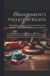 bokomslag Grandparent's Visitation Rights