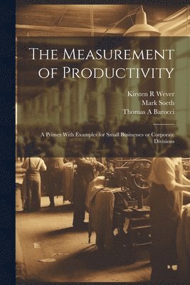 Thomas a Barocci, Mark Soeth, Kirsten R Wever, Thomas a. Barocci, Thomas A Barocci, Thomas A. Barocci, Kirsten R. Wever - Measurement of Productivity, Häftad