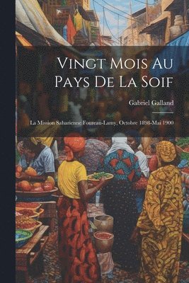 bokomslag Vingt mois au pays de la soif