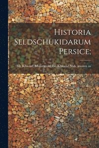 bokomslag Historia Seldschukidarum persice;