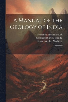 bokomslag A Manual of the Geology of India