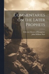 bokomslag Commentaries on the later prophets