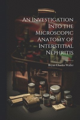 bokomslag An Investigation Into the Microscopic Anatomy of Interstitial Nephritis