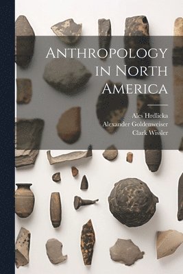 bokomslag Anthropology in North America