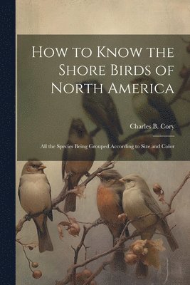 bokomslag How to Know the Shore Birds of North America