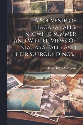 bokomslag A Souvenir Of Niagara Falls, Showing Summer And Winter Views Of Niagara Falls And Their Surroundings.-