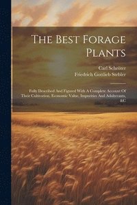 bokomslag The Best Forage Plants