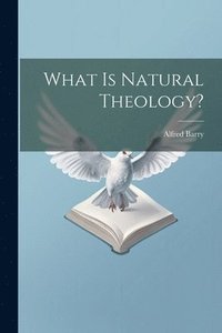 bokomslag What Is Natural Theology?