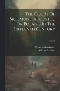 bokomslag The Court Of Sigismund Augustus, Or Poland In The Sixteenth Century; Volume 3