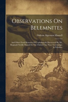 Gideon Algernon Mantell - Observations On Belemnites, Häftad