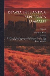 bokomslag Istoria Dell'antica Repubblica D'amalfi