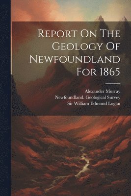 bokomslag Report On The Geology Of Newfoundland For 1865