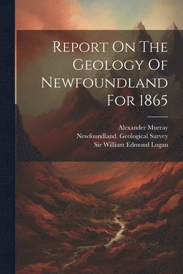 Report On The Geology Of Newfoundland For 1865 1