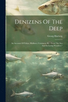 bokomslag Denizens Of The Deep