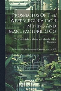 bokomslag Prospectus Of The West Virginia Iron Mining And Manufacturing Co