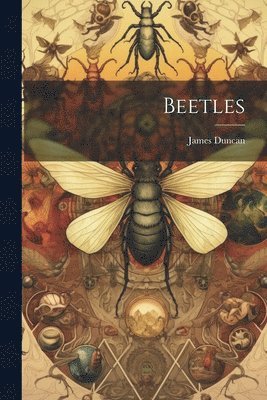 James Duncan - Beetles, Häftad