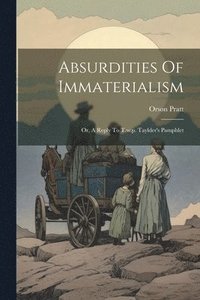 bokomslag Absurdities Of Immaterialism