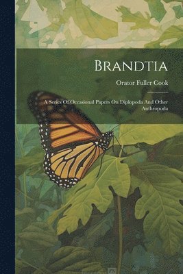 Brandtia 1