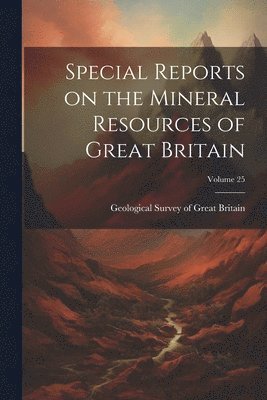 bokomslag Special Reports on the Mineral Resources of Great Britain; Volume 25