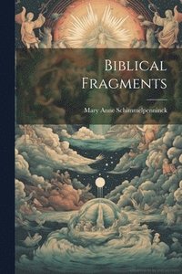 bokomslag Biblical Fragments