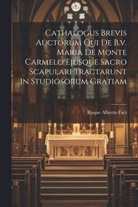 bokomslag Cathalogus Brevis Auctorum Qui De B.v. Maria De Monte Carmelo Ejusque Sacro Scapulari Tractarunt In Studiosorum Gratiam