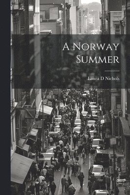 bokomslag Norway Summer