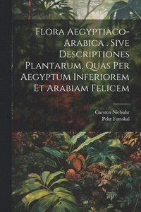bokomslag Flora Aegyptiaco-arabica . Sive Descriptiones Plantarum, Quas Per Aegyptum Inferiorem Et Arabiam Felicem