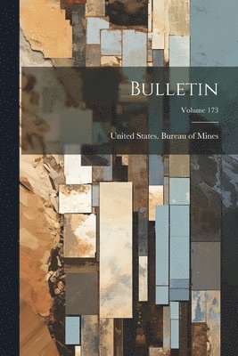 United States Bureau of Mines - Bulletin; Volume 173, Häftad