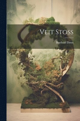 bokomslag Veit Stoss
