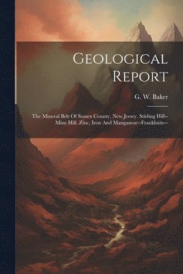 bokomslag Geological Report