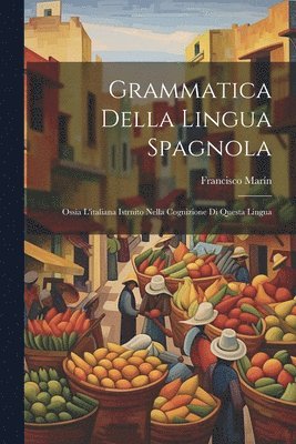 bokomslag Grammatica Della Lingua Spagnola