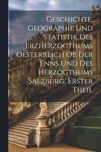 bokomslag Geschichte, Geographie und Statistik des Erzherzogthums Oesterreich ob der Enns und des Herzogthums Salzburg, Erster Theil