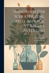 bokomslag Handbuch der Schulhygiene, Zweite Auflage, VI. Band, 1. Abteilung