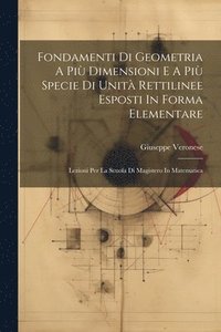 bokomslag Fondamenti Di Geometria A Pi Dimensioni E A Pi Specie Di Unit Rettilinee Esposti In Forma Elementare